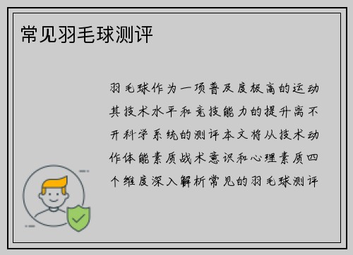 常见羽毛球测评